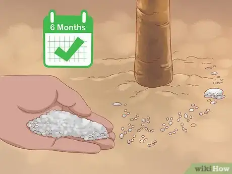 Image titled Plant Jackfruit Step 16