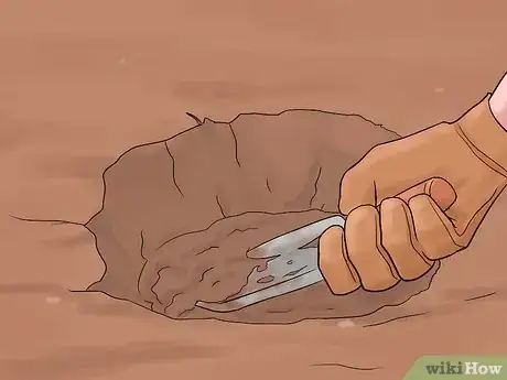 Image titled Grow Swamp Hibiscus Step 3