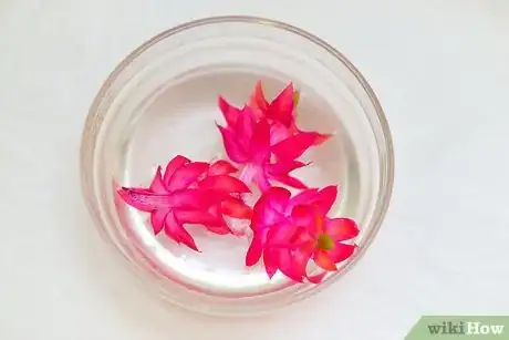 Image titled Dress Up a Salad with Edible Flowers Step 4