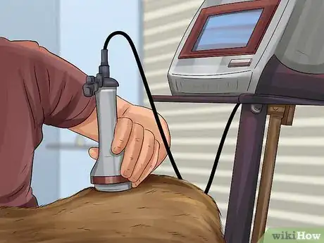 Image titled Treat Canine Incontinence Step 11