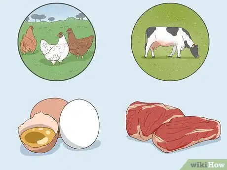 Image titled Eat Correctly During Ketosis Step 8