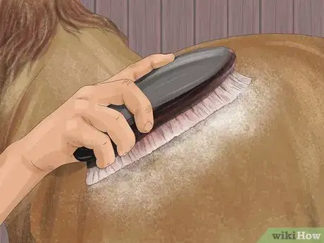 Image titled Brush a Horse Step 5