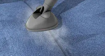 Kill Bed Bugs with Heat