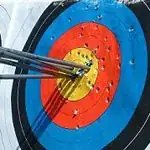 Image titled Archery tips