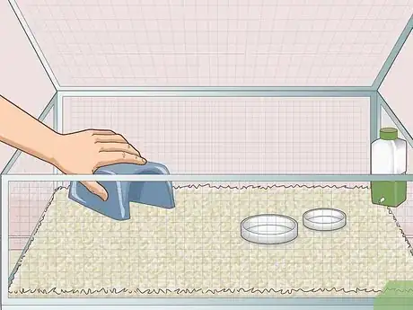 Image titled Prepare for Your New Guinea Pig Step 9