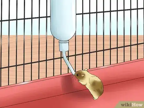 Image titled Make Baby Dwarf Hamster Food Step 13