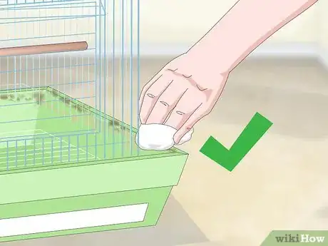 Image titled Clean a Cockatiel Habitat Step 12