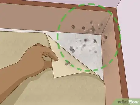 Image titled Detect Bad Air Quality Step 2.jpeg