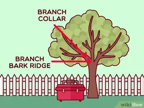 Image titled Do Basic Dormant Season Pruning Step 6