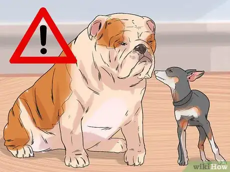 Image titled Dog‐Sit when You Have a Small Pet Step 2