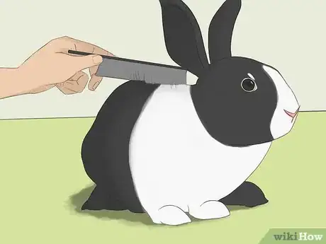 Image titled Bathe Your Pet Rabbit Step 1