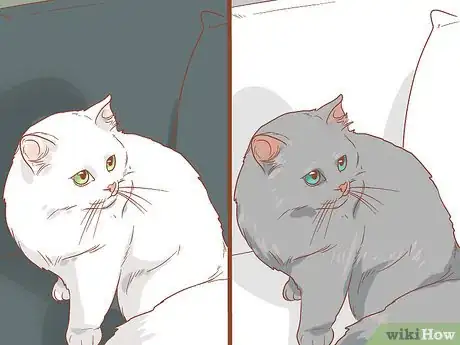 Image titled Photograph Cats Step 8