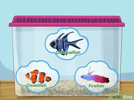 Image titled Start a Saltwater Aquarium Step 2