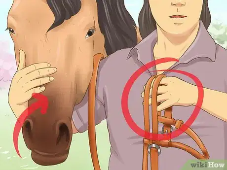 Image titled Bridle a Grumpy Horse Step 2