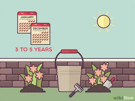 Image titled Plant Daylilies Step 16