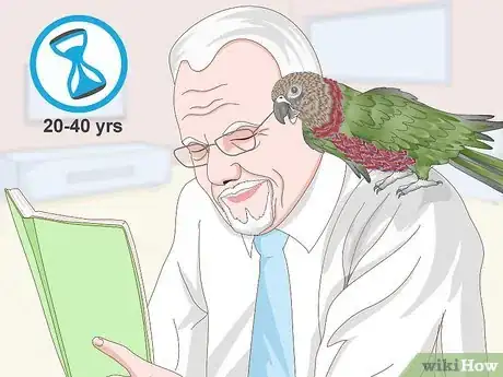 Image titled Know if a Hawk‐Headed Parrot Is Right for You Step 12