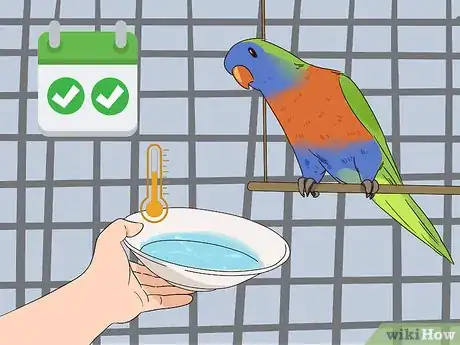 Image titled Groom Lories and Lorikeets Step 1