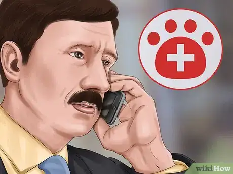 Image titled Ensure the Health of a Lost Pet After Finding It Step 8