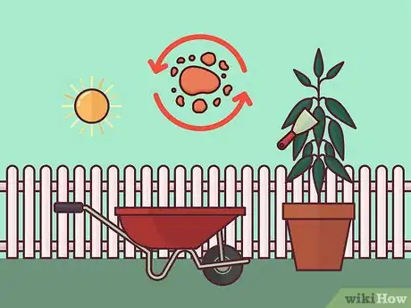 Image titled Harvest Cinnamon Step 6