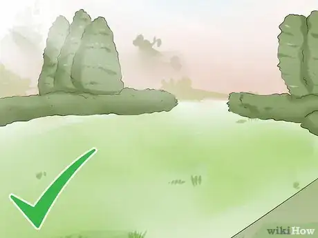 Image titled Plant Cabbage Step 7