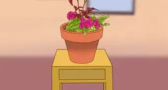 Design a Container Garden