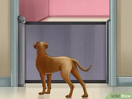 Image titled Introduce a Dog to a New Family Member Step 9