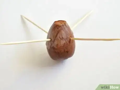 Image titled Grow an Avocado As a Houseplant Step 9