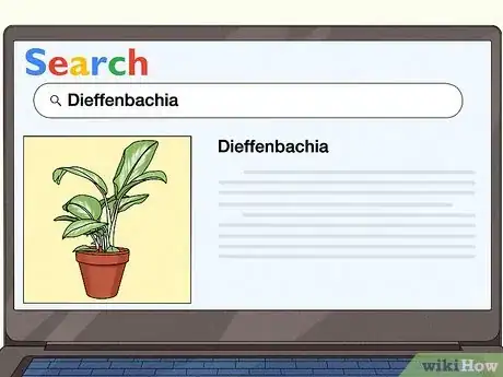 Image titled Grow Chinese Evergreens (Aglaonema) Step 1