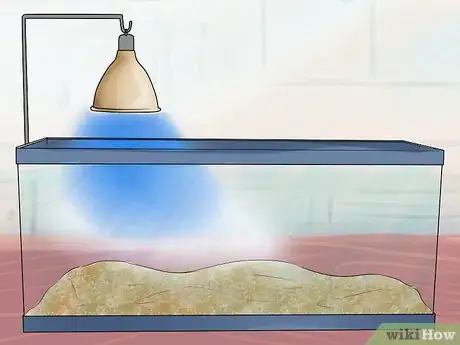 Image titled Buy a Turtle Step 10