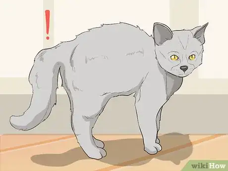 Image titled Figure Out Your Cat's Mood Step 14