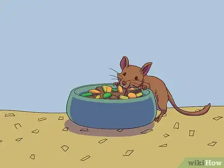 Image titled Feed a Gerbil Step 6