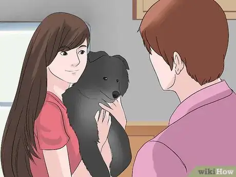 Image titled Care for Collies Step 4