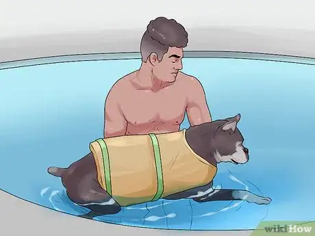 Image titled Manage Arthritis in Senior Dogs Step 3