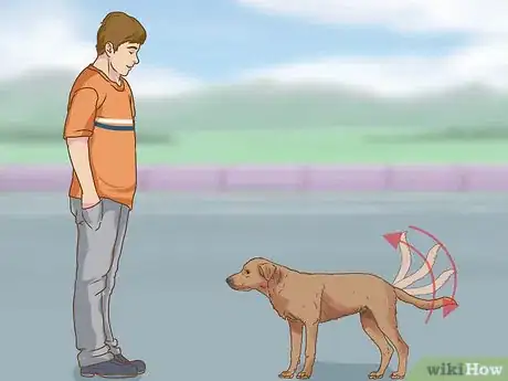 Image titled Evaluate a Dog's Temperament Before Choosing Step 9