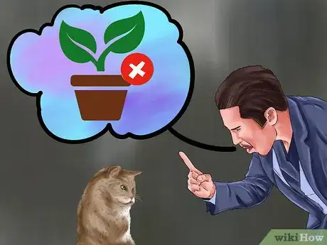 Image titled Choose Safe Houseplants when You Have a Cat Step 8