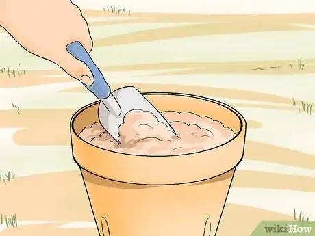 Image titled Plant Allium Bulbs Step 10