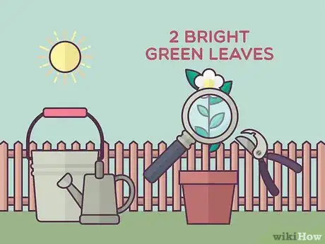 Image titled Grow Tea Step 16