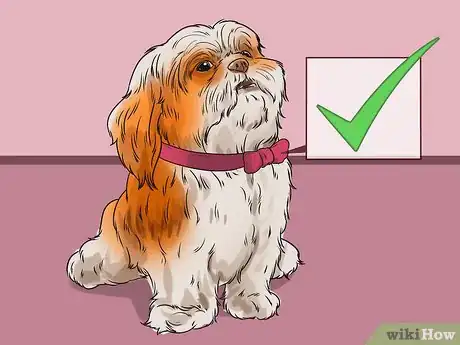 Image titled Give Your Dog a Make Over Step 13