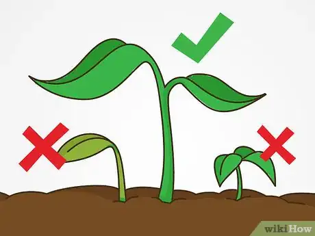 Image titled Grow Vegetables in the Midwest Step 18