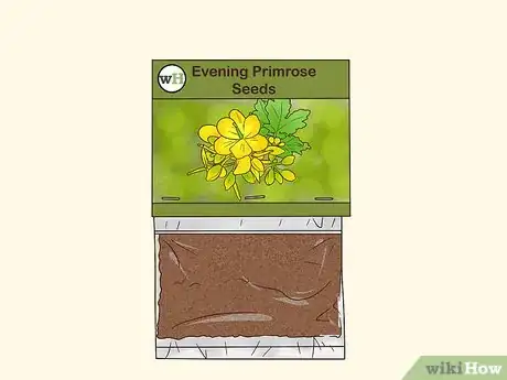 Image titled Grow Evening Primrose Step 4