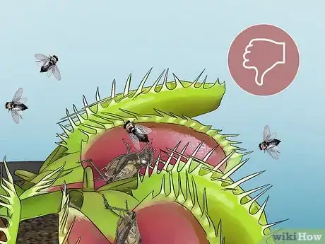 Image titled Feed Carnivorous Plants Step 2