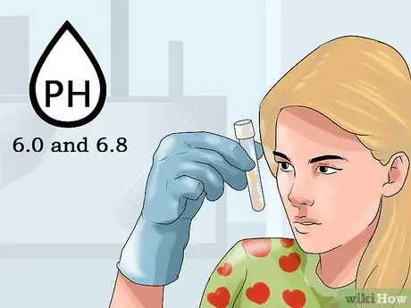 Image titled Grow Chard Step 6