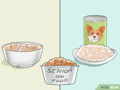 Image titled Improve the Appetite of an Older Dog Step 8