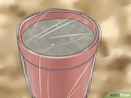 Image titled Grow Great Herbs Step 7