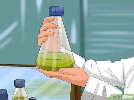 Image titled Grow Chlorella for a Food Supplement Step 3