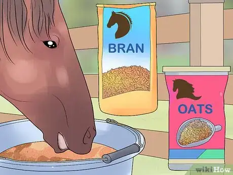 Image titled Prepare a Mare for Foaling Step 7