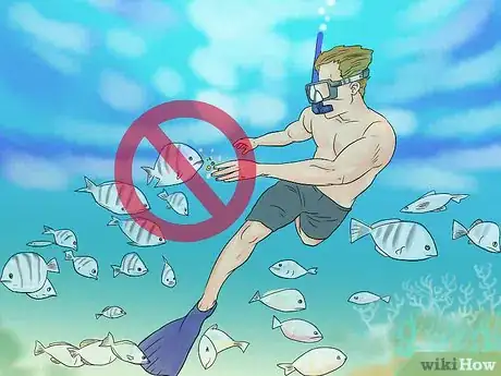 Image titled Protect Coral Reefs when Snorkeling Step 6