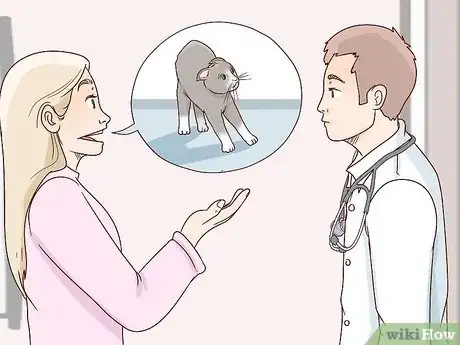 Image titled Train a Cat to Stop Fearing Sudden Movements Step 1