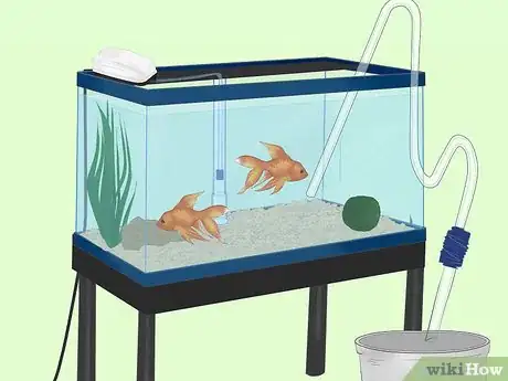 Image titled Clean an Aquatic Moss Ball Step 6