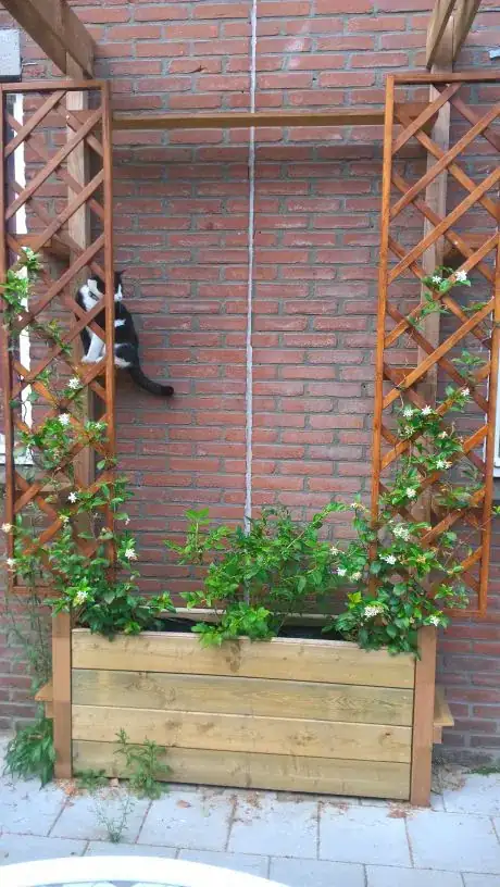 Image titled Nano on pergola1 flip